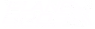 Footer Logo